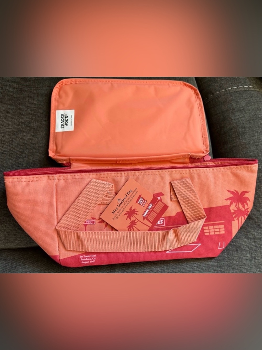 Trader Joe’s Mini Insulated Bag
